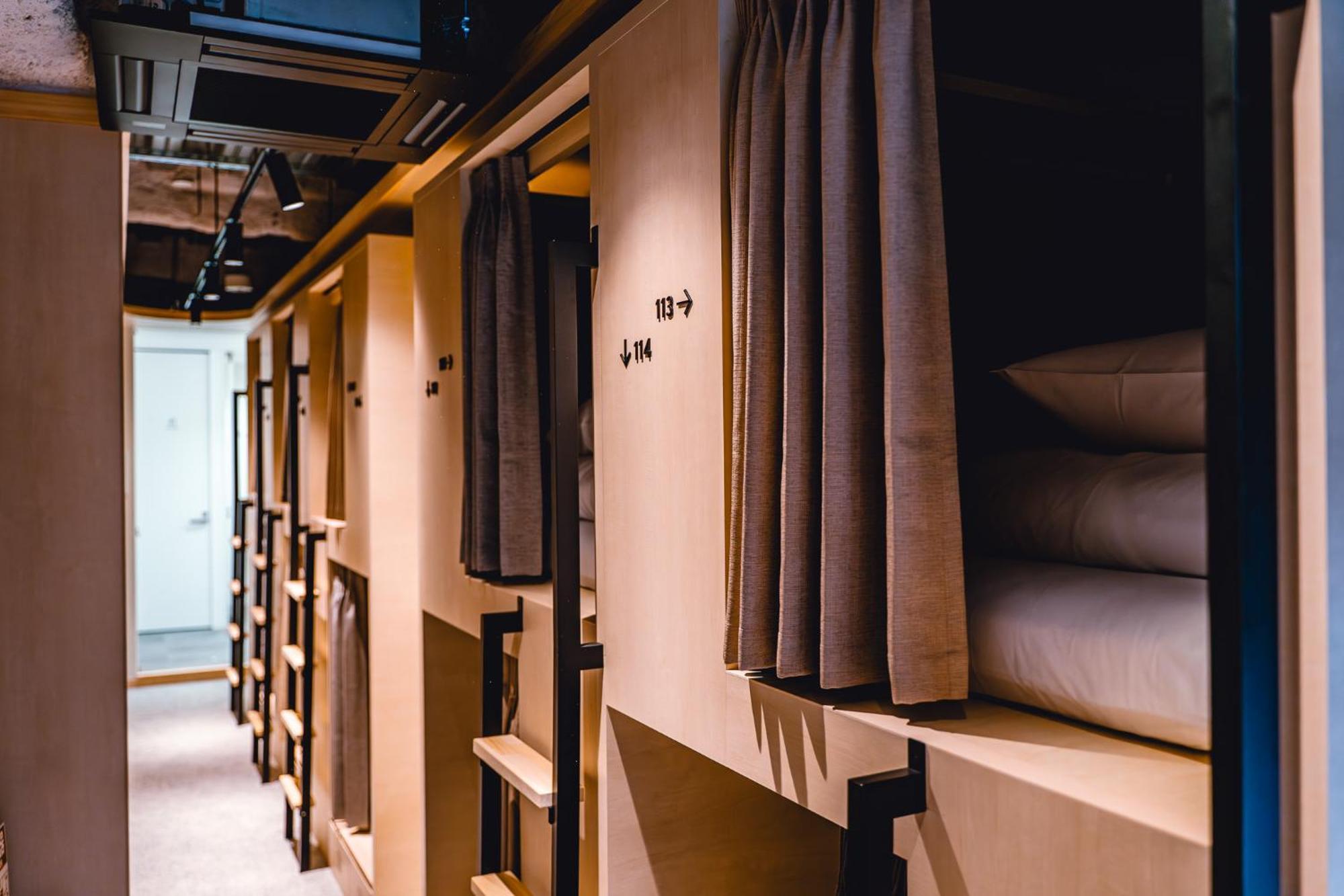 Bunk Bed Mixed Dormitory Room